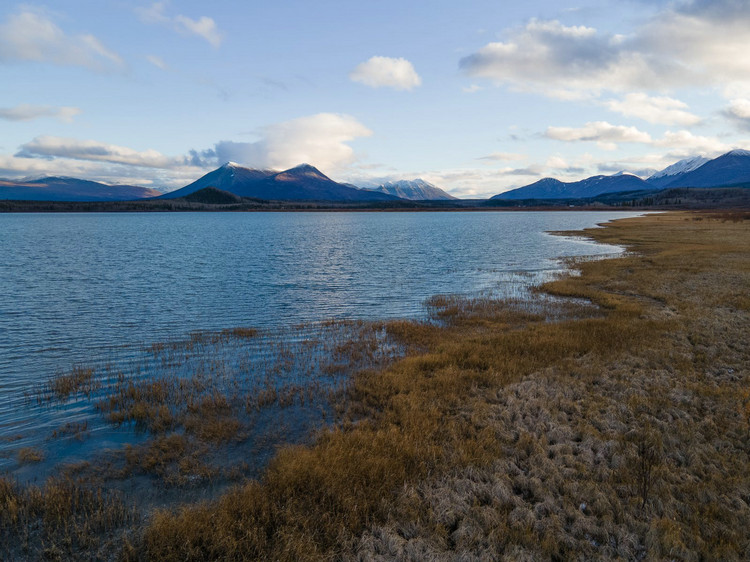 污水處理廠水質(zhì)檢測(cè) 污水處理廠水質(zhì)檢測(cè)